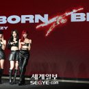비블라썸(BE BLOSSOM) 세계일보