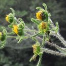 성기호한의원 이미지