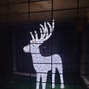 빛의 소나타 | [전시후기]소나타오브라이트 Sonata Of Light(빛의 소나타) @오크밸리 원주