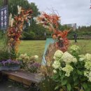 푸른수목원 이미지