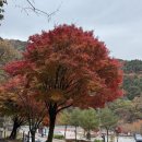 GS25 전문화원점 | 치악! 소금산 가다가 치악산 등산한 날, 치악산 황골탐방지원센터 원점회귀, 치악산 최단코스 등산 후기