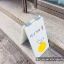 다섯개의달 이미지