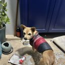 설악치과의원 이미지