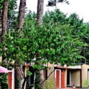 다모아 민박펜션 이미지