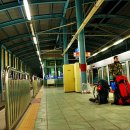 팔색조의번식지 전남고흥의 거금도를 가다.... 이미지