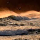 121-1-000006 이미지