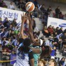 리 이미지