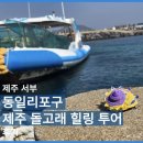 동일리-10 | [후기] 제주 돌고래 힐링 투어! 제주 동일리포구 돌고래 투어 후기 / 제주 돌고래 포인트 / 이색...
