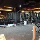 머슬허슬 이미지