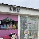 마이페이버릿띵스 | [김해/소품샵]마이페이버릿띵스 방문후기
