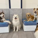 멍스 스쿨 이미지