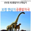 서해삼육중학교 | 충남 보령 학성리 맨삽지 공룡발자국 화석 위치 물때시간