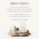 참참마트 | [상품 강력 추천] 베베숲 물티슈 - 8년 차 마트 직원 강력 추천 상품! 내돈내산