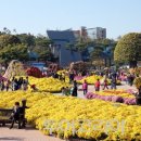 국향한우 이미지