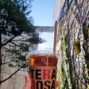 씨유강릉녹색도시점 | 강릉 가볼만한곳 카페 추천 테라로사 경포호수점 진정한 쉼 메뉴추천