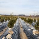 미림농장 이미지