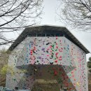 판교공원(인공암벽장 옆) | 벚꽃 휘날리던 대인기 판교인공암벽장 🌸 주말클라이밍 후기