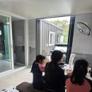 새골 | 경주 애견동반 수영장 펜션 솜마애견풀빌라 내돈내산 후기