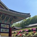 미륵대흥사 - 1206 | 미륵대흥사