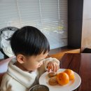 그랜드클럽 | 그랜드하얏트 서울 그랜드클럽 라운지 후기 | 글로벌리스트 혜택, 키즈밀 도시락, 조식 이용 정리