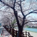 동천상사 이미지