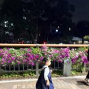 소윤이 근황💛 이미지