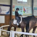 말산업정보포털 호스피아 경기도 학생승마 에이원승마클럽 수업후기