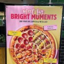 인계동 뉴코아 백화점 이면도로 | 수원터미널맛집 피자몰 뷔페 NC수원터미널점 피자무한리필 평일 런치 먹고 옴