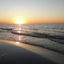 종로제일 행정사사무소 이미지