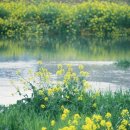 좋은가축인공수정소 이미지