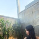 나인 | 서울 근교 자쿠지 숙소 서락나인 가평 후기