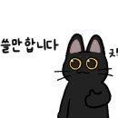 김선정헤어