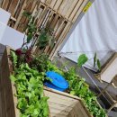 에코팜잉협동조합 이미지