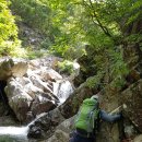 삼계리 노인회관 옆 이미지