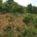 자산동205 이미지