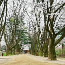 남이섬봄펜션