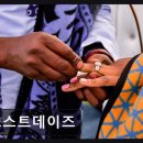 모스트데이즈