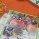 청송필농원 이미지