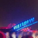 스토리짐(521)(스크린) | 상하이 디즈니랜드 오후 입장 개쫄보의 하루 후기｜타임라인 코스 + 주토피아·퍼레이드·꿀팁 총정리