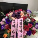 로즈메디 이미지