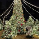 제이닷트리x스누피 크리스마스 팝업스토어 방문 후기🎄(주차, 예약 방법, 입장권 가격)