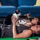 The Cats & Dog 이미지