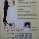 새오빌결혼전문 Daum카페