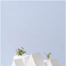 오션골드 공인중개사사무소 이미지