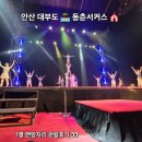 경기 안산 대부도 동춘서커스 내돈내산 since.1925