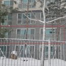 경포천로 이미지