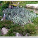 월드허브 이미지