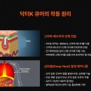 닥터K