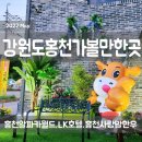 소만모텔 | 강원도 홍천 가볼만한곳 2탄(feat.알파카월드,LK호텔,사랑말한우,여주프리미엄아울렛,짬뽕진)💕