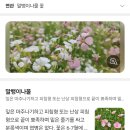 250602 인간과 自然 6/6(텅 빈 충만)